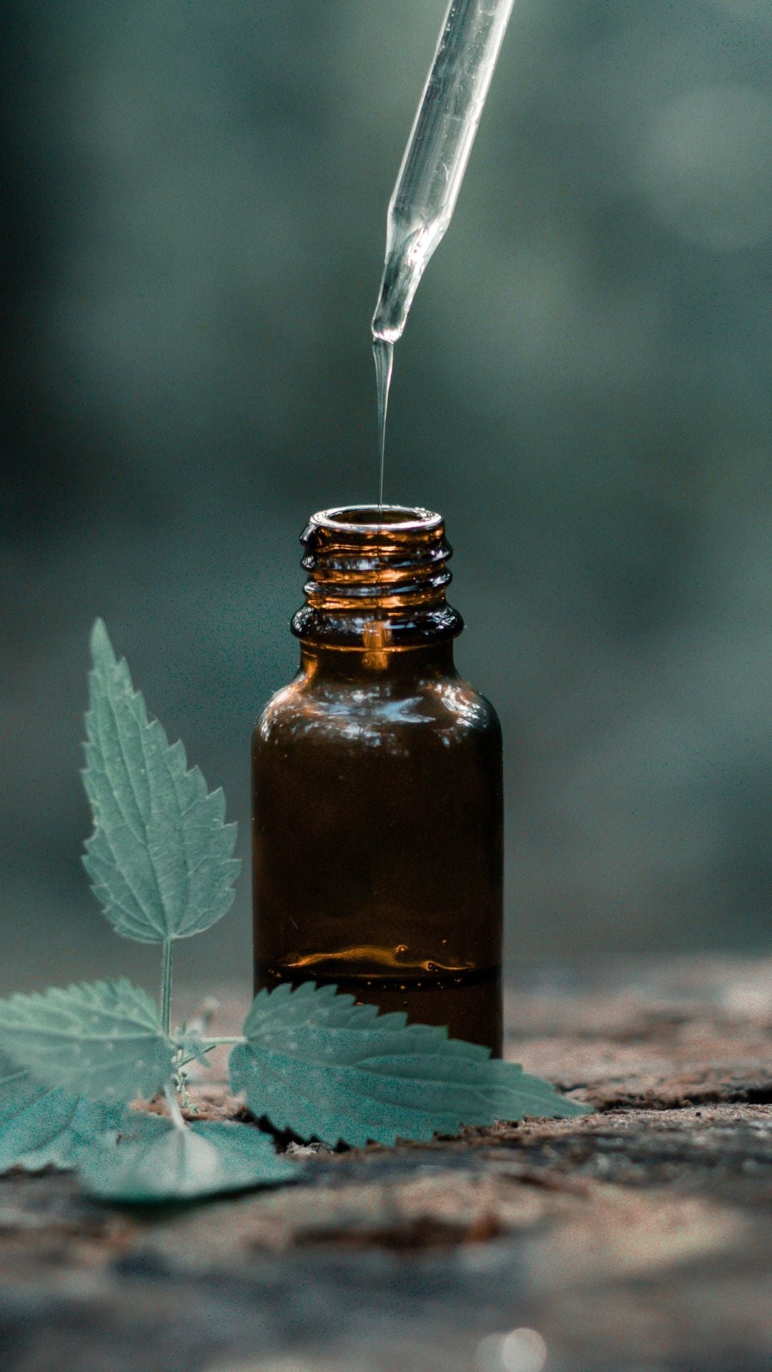 精油品質大揭密：教你3步驟鑑定純天然精油