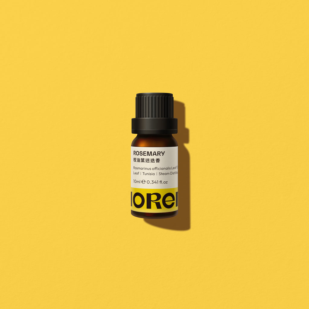 迷迭香（桉油葉）精油  Rosemary ct Cineole Essential Oil - MORENE 