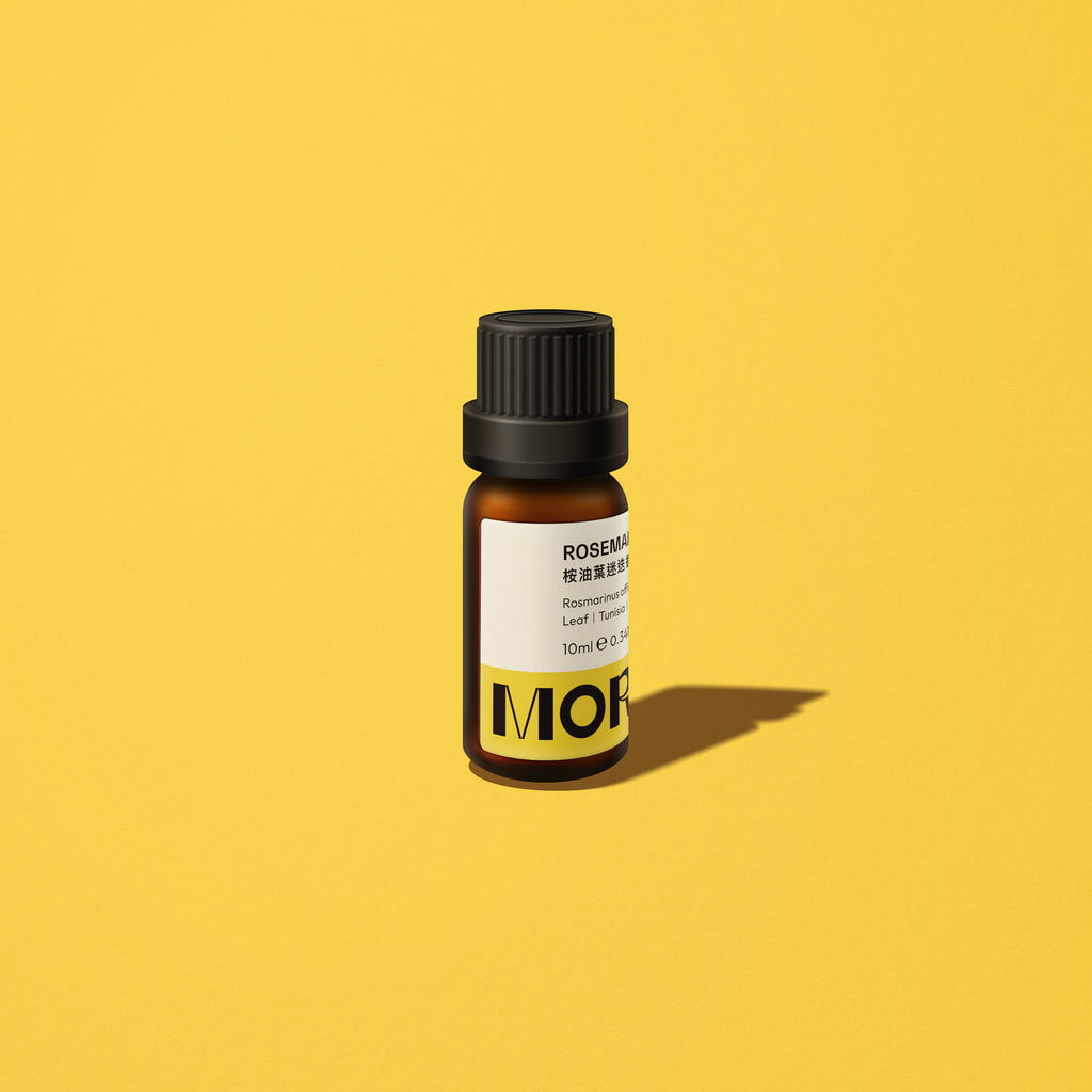 迷迭香（桉油葉）精油  Rosemary ct Cineole Essential Oil - MORENE 